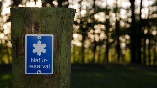 ”Sverige kan inte leva på skogsreservat”