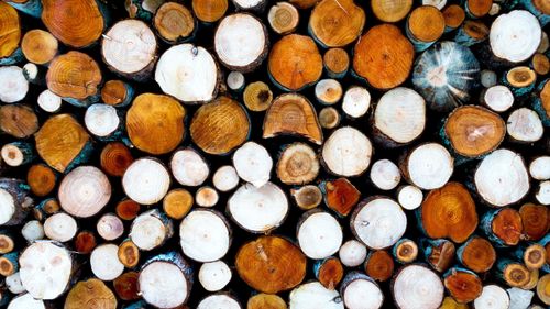 MP: ”Ingen anledning till panik”