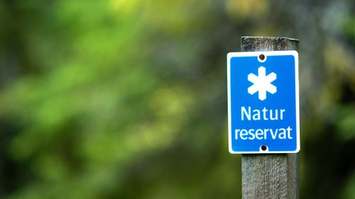 Strikt tolkning av skyddad skog drabbar Sverige