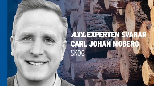 Läge för skogsägare att förhandla virkespriserna