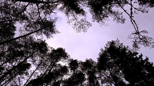 Skarp kritik mot artskyddsutredningens förslag