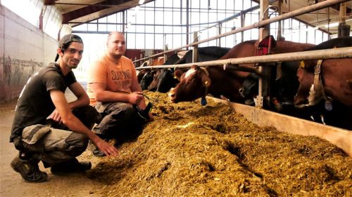 Praktikplatsen blev vägen till ett fast jobb