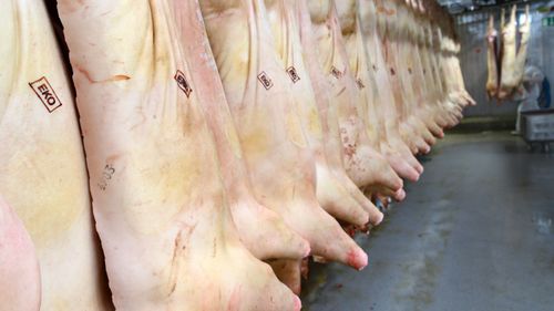 Slaktköerna nere på bra nivåer igen