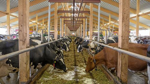 ”Mejerier ska sälja mjölk – inte kontrollera bonden”