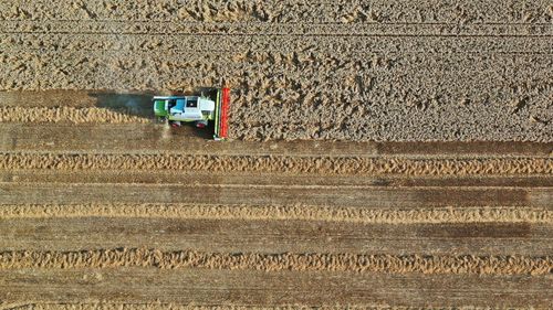 Allt färre heltidsjordbruk i Sverige