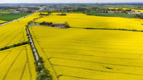 ”EU:s jordbrukspolitik ger stabilitet”