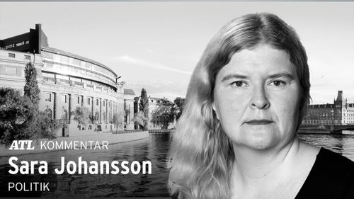 ”Skogen spelar flera roller i regeringsdramat”