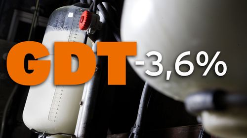 Fortsatt nedåt för Global Dairy Trade