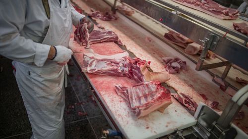 Slakterier överklagar kontrollavgifter igen