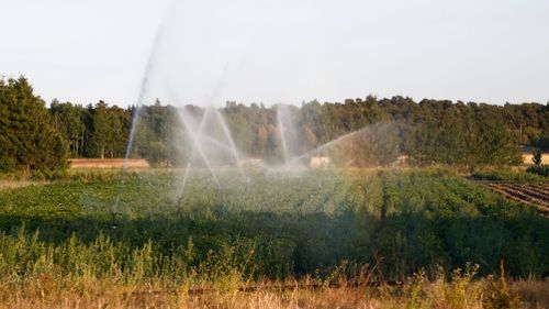 Låga grundvattennivåer i södra Sverige