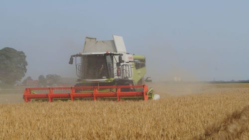 Spannmålsskörden i gång