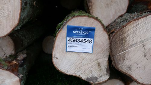 Stabilt för Sveaskog