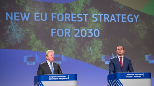 Skogsstrategins mål: Mindre intensivt skogsbruk