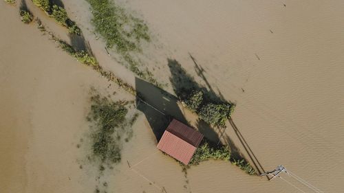 Hela skördar kan ha gått förlorade