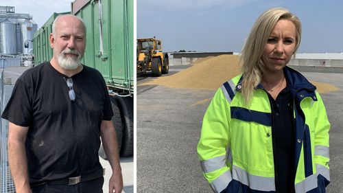 Värmen ger tidig men lägre veteskörd 