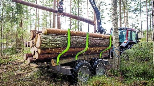 1,3 miljoner till säkrare självverksamhet i skogen