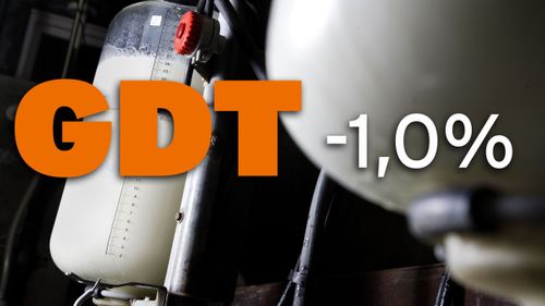 Minus igen för Global Dairy Trade