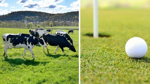 Kor förstörde tre greener