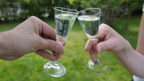 Svensk vodka får spädas med vatten utomlands