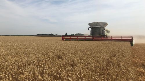 Klimatförändringarna: Så påverkas svenskt lantbruk