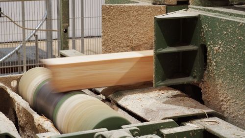 Digital skogskväll med ekonomi och framtidsutsikter