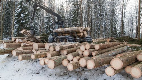 ”Centern offrar skogsnäringen”