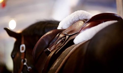 Stöldvåg av dyra sadlar