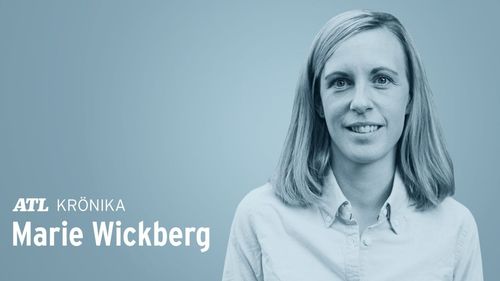 ”Regeringen bör inse att skogen inte räcker”