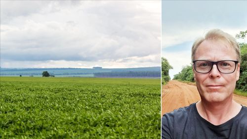 ”Så blev Brasilien världens största livsmedelsexportör”