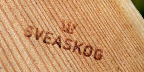 Fjärde personalchefen på fyra år för Sveaskog
