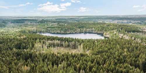 Stora Ensos skog i Halland såld