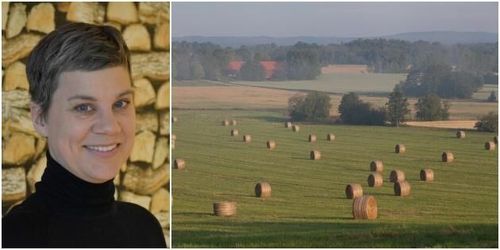 LRF: Valutgången positiv för jordbruket