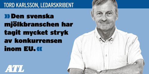 Svenska ostar en bortslarvad exportchans