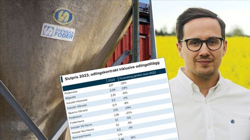 Svenska Foders poolpriser sjönk 17 procent