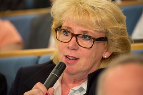 Lena Ek (C), ordförande för Södra.