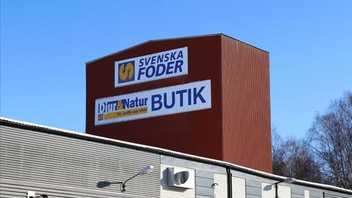Bättre marginaler för Svenska Foder 
