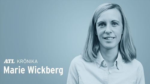 ”Århuskonventionen är skogsutredningens blinda fläck”