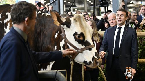 ”Macron kan ha rätt om frihandelsavtalet”