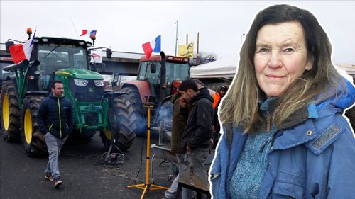 ”Det fick de franska bönderna att blåsa av protesterna”