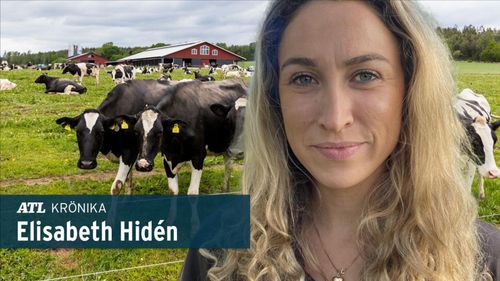 ”Det unika är att vi inte får betalt”