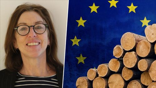 ”Ska EU straffa alla medlemsländer?”