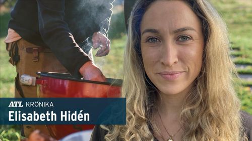 ”Mitt tålamod börjar tryta”
