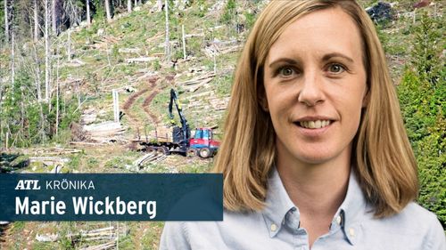 ”Lex gratislunch förändrar spelplanen” 