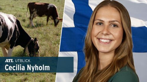 ”Fler kan vara med och betala för betet – som i Finland”