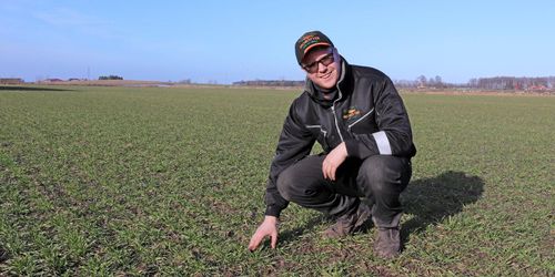 Morötterna räddade spannmålsskörden