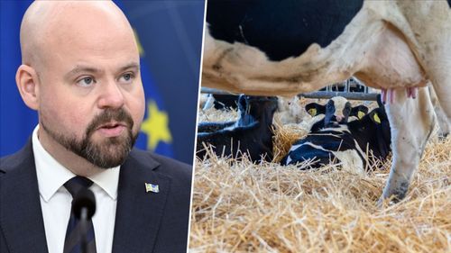Inga planer på lag om Bovaer i Sverige