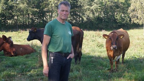 Dansk mjölkbonde om oron kring Bovaer