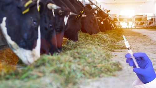 Kritik mot bristande antibiotikahantering i Brasilien