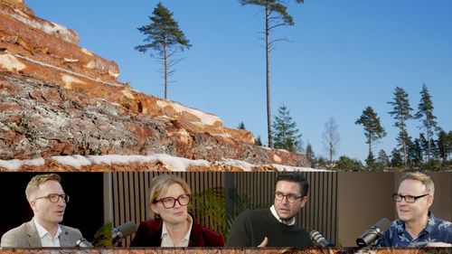 Skogen & Kapitalet: Golvet har höjts för virkespriserna