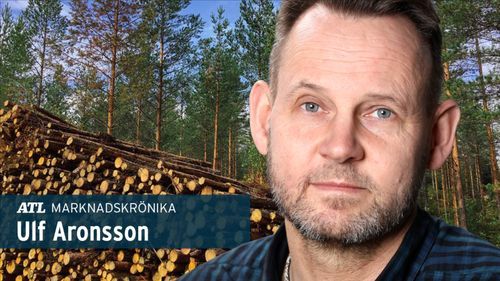Rekordpriser på finsk skog trots vikande virkesmarknad